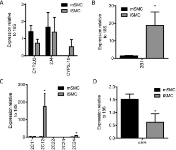 Fig. 2. Basal expression of CYPs and sEH expression in iSMC and mSMC. qRT-PCR analysis of rat CYP2J family (A), CYP2B1 (B), CYP2C family (C) and sEH (D) in iSMC and mSMC.Data show relative expression compared to 18S as mean ± SEM from n ¼ 3 separate experi
