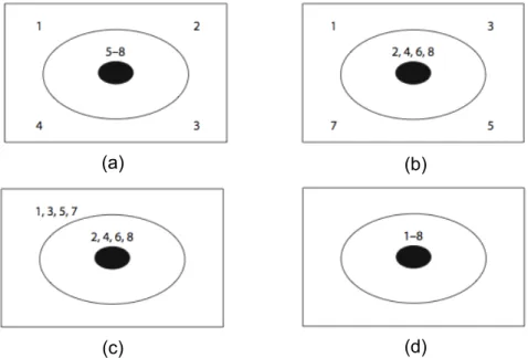 Figure 2.3 – Typical example of tumour task used by Grant and Spivey [2003] and Thomas and Lleras [2007]