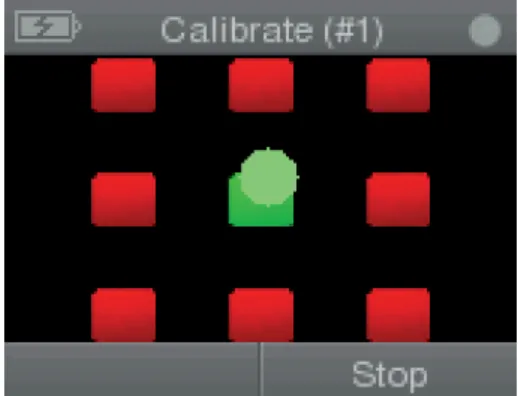 Figure 7.3.  The calibration pattern (A).  This is an example display from the Tobii 1.0  Recording Assistant