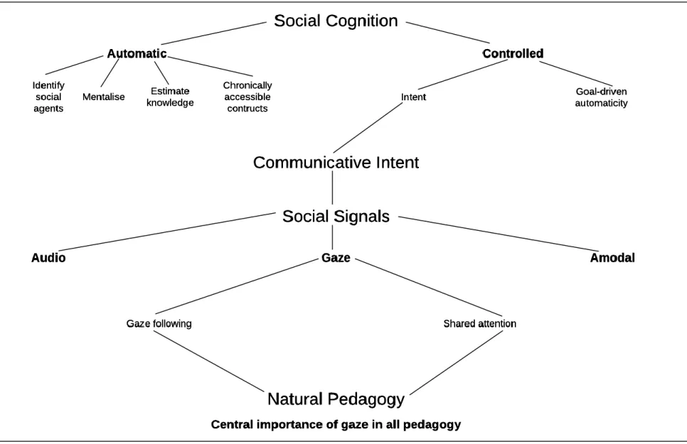 Figure 2.1.  Concept map of where this thesis (especially teacher communicative gaze) resides in the wider framework of research
