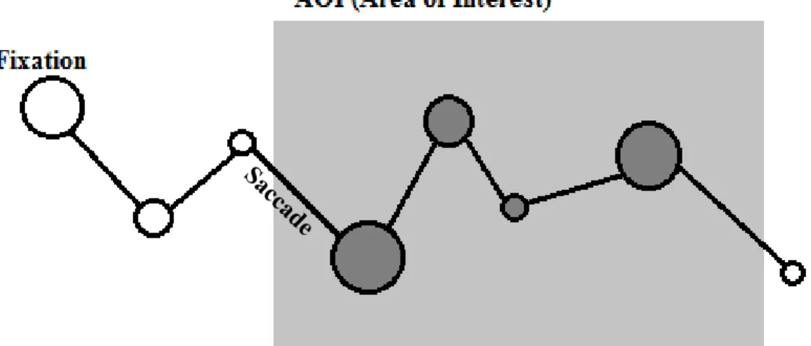 Figure 4 - Diagram illustrating how AOIs are used to include or exclude data for analysis 