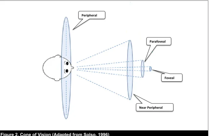 Figure 2. Cone of Vision (Adapted from Solso, 1996) 