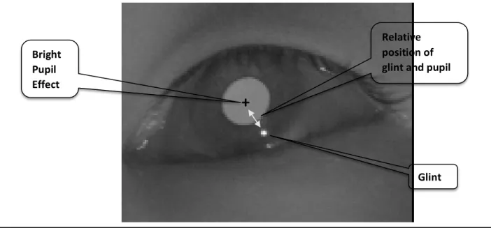 Figure 4. Video-Based Corneal Reflection Technique (Adapted from Meunier (2009) and Zhu and Ji  (2007)) 