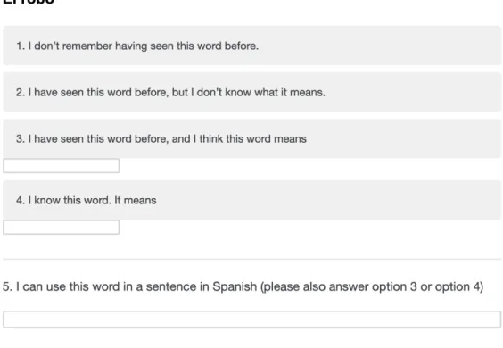 Figure 4. Example of the VKS format presented to participants on the vocabulary pre- and  post-tests