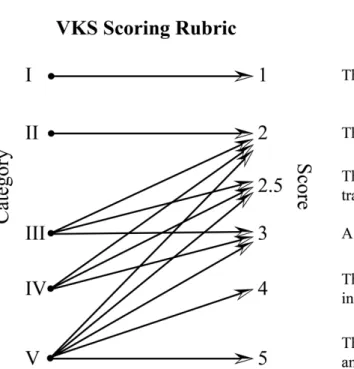 Figure 5. VKS scoring rubric showing possible scores and score meaning for each category
