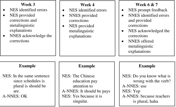 Figure 4.3. Developmental Process of A-NNES in Dyad 48 on Subject-Verb Agreement.  