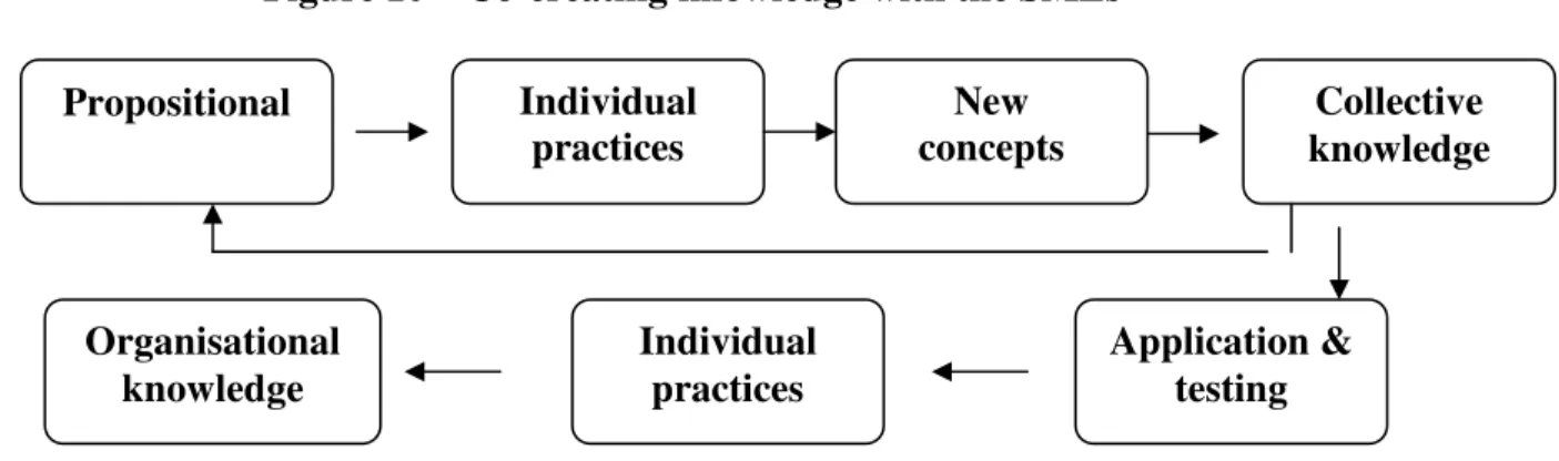 Figure 10 – Co-creating knowledge with the SMEs 