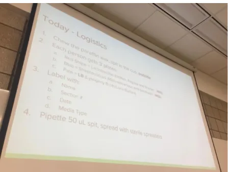 Figure 4.2 Katie’s additional logistics slide. 