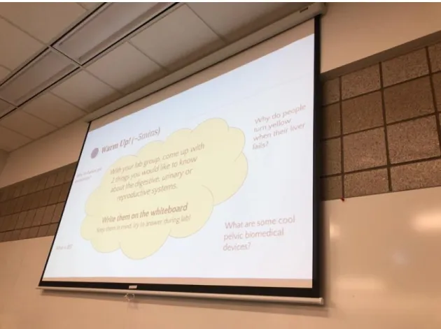 Figure 4.5 Example of how Chad incorporated differentiated instruction in her lab. 