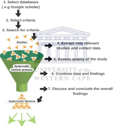 Figure 9:  Systematic literature review (Cochrane 