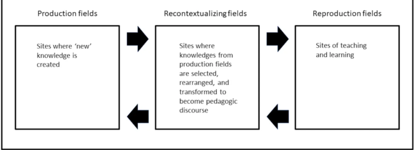 Figure 3.1. Arena created by the ESP device (simplified from Maton, 2014, p. 51). 