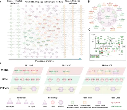 Figure 2: The global miRNA-pathway crosstalk network and several modules. The triangle and rectangles in the network correspond to miRNAs and pathways respectively