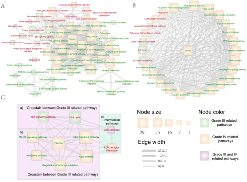 Figure 3: The dysfunctional pathway crosstalk network that associated with glioma malignant progression