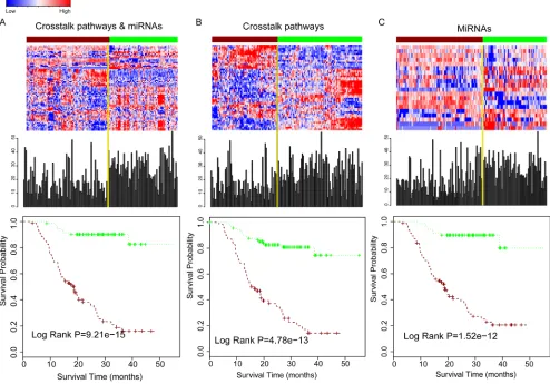 Figure 4: Combination of pathway crosstalk information and miRNA can gain the power for predicting survival of glioma patients
