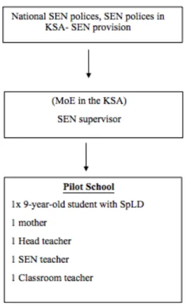 Figure 5: Distribution of Participants in The Pilot Study 