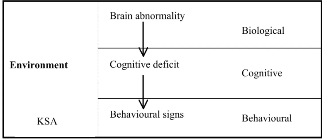 Figure 1: Frith's Framework of Understanding Dyslexia (Adopted from Frith, 1995) 
