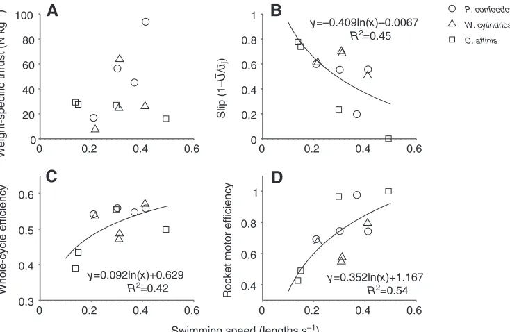 Table 2. Swimming performance variables for solitary stage salps 
