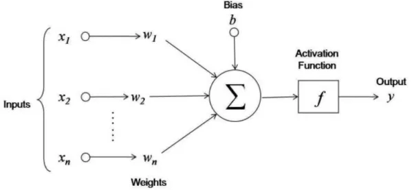 Fig. 2.2. Representation of a neuron