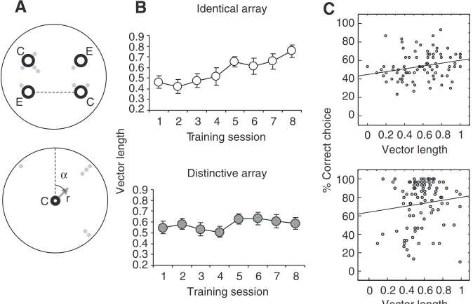 Fig. 2. Second experimental series. (A) Schematicrepresentation of the arrays. C, geometrically correctpipes; E, geometrically incorrect pipes; R, rotationalerror; N, near; F, far