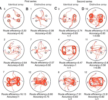 Fig. 5. Some representative tracksrecorded during the test trials in both thefirst and the second series ofexperiments