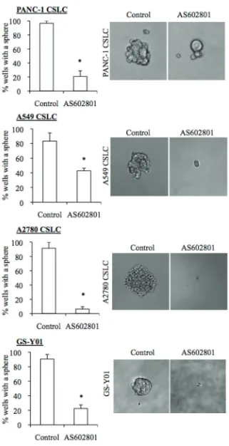 Figure 4: As602801 induces loss of sphere formation ability in cancer stem cells. Cells cultured without (Control) or with 7.5 μM AS602801 for 6 days were subjected to a sphere formation assay in the absence of AS602801