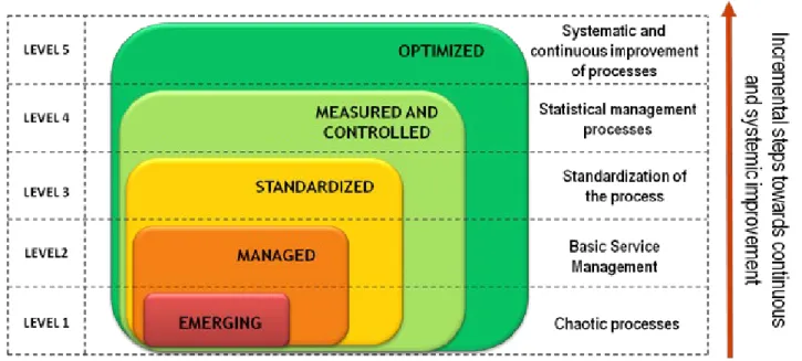 Figure 1. Maturity Levels.