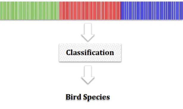 Figure 2.1: Classification scheme based on the concatenation of the three color space histogram features - Adapted from Marini et al..