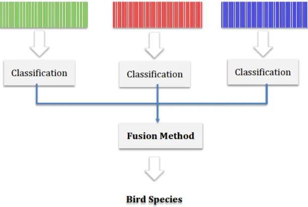 Figure 2.2: Classification scheme based on combination of classifiers outputs from the three colour space separately - Adapted from Marini et al.