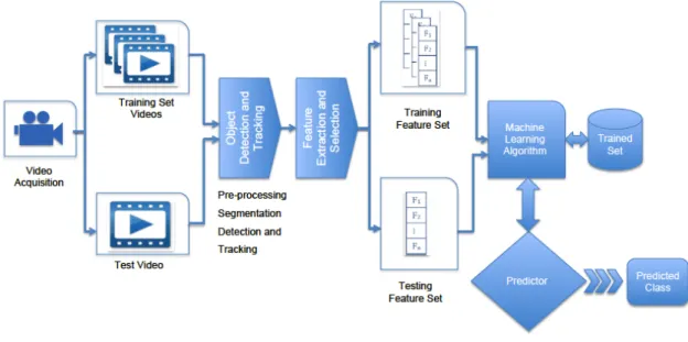 Figure 2.4: Overview of a video framework for classifying species. This figure shows the video acquisition stage, dividing the videos into training and test sets and  prepro-cessing of the videos