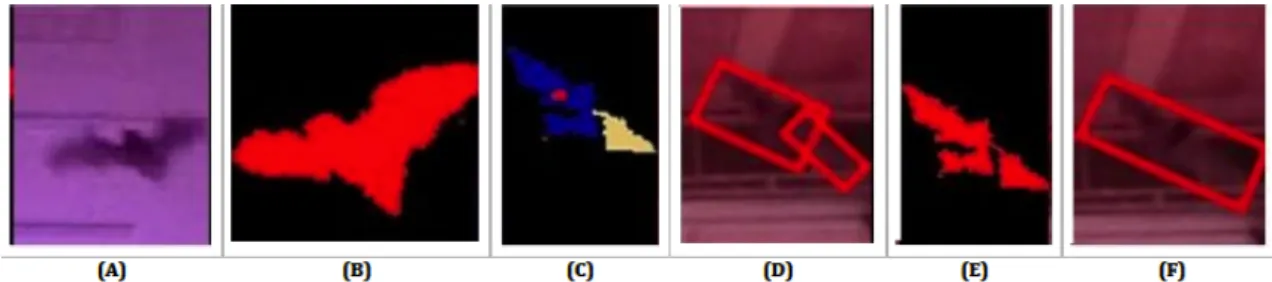 Figure 3.1: Foreground images of bats segmented using improved GMM Zivkovic and van der Heijden (2006)