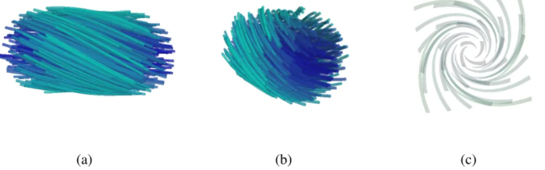 Figure 2.5: Side and front view of the 3D helical vector field. Visualizations were made using the ParaView scientific visualization application ([29]).