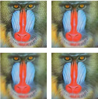 Figure 3.1: Diffusion of a 2D image. (a) original image, (b) linear isotropic diffusion i.e.
