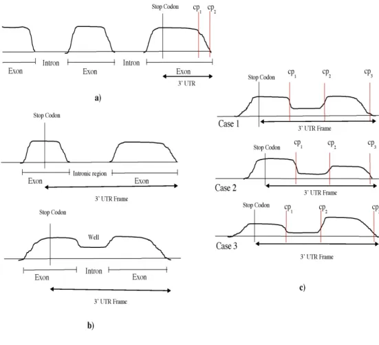Figure 2.2: Some examples of filtration. (a) The PELT algorithm might output cp 1 as a change point even though the true APA site is cp 2 , which is removed by TAPAS