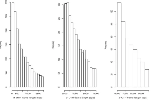 Figure 2.3: Length distribution of the 3 0 UTR frames extract from the human RefSeq annotation GRCh37