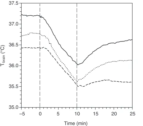 Table 2. Statistics based on changes in brain (Tbrain), aorta blood (Taorta), musculus lattissimus dorsi (Tm) and rectal temperature (Tr) in 2harp seals during the first 8min of 13 experimental dives of various duration, except muscle temperature, which was recorded in 6 dives