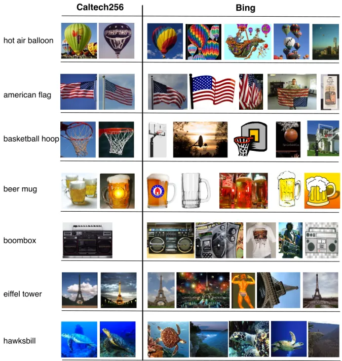 Figure 1.2: Sample images from the Caltech-256 object recognition benchmark set [73] and Bing top ranked results [11].