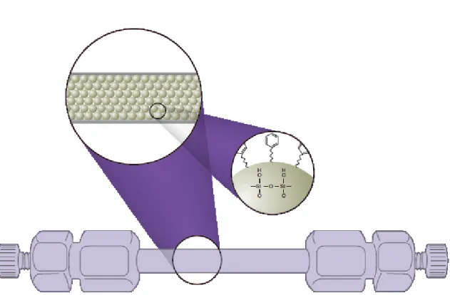 Figure 3: HPLC Column showing solid phase and surface  chemistry (Phenomenex) 