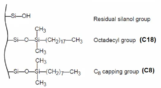 Figure 6: Solid phase with an unreacted silanol, C18, and  C8 group attached 