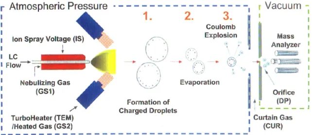 Figure 9: Electrospray Ionization (ESI) Process (AB  Sciex) 