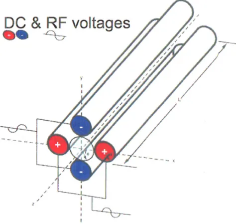 Figure 10: Quadrupoles with DC and RF voltages of the  mass spectrometer (AB Sciex) 
