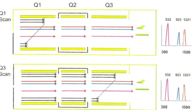 Figure 11: Full scan mode to determine precursor ions within a selected range 