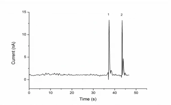 Figure  2.8:  Electropherogram obtained from the separation of a standard sample. MCE  conditions: the running buffer was 25 mM phosphate buffer (pH 9.4) containing 2.5  mM  luminol, 0.45  mM Cu 2+   and  0.9 mM D-penicillamine
