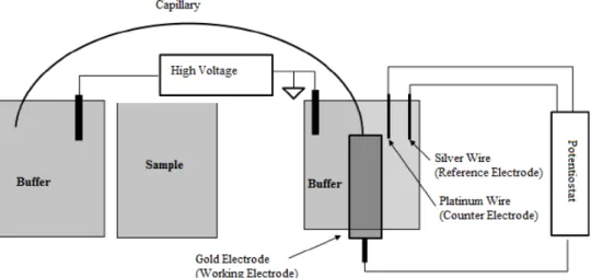 Figure 1.24:  Scheme of Capillary Electrophoresis which includes the systems  main components of a sample vial, source and destination vials, a capillary, 