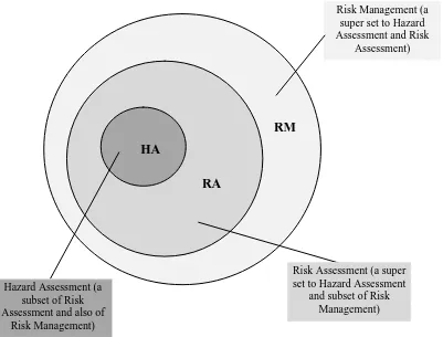 Figure 2:   ‘Input’ and ‘Output’ relationships with Risk Assessment    