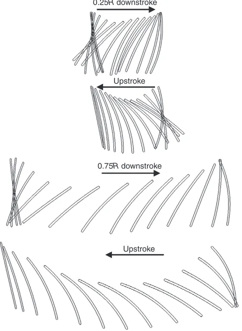 Fig.the definitions of the wing kinematic parameters (see List of Symbols and2. (A) Wing planform used