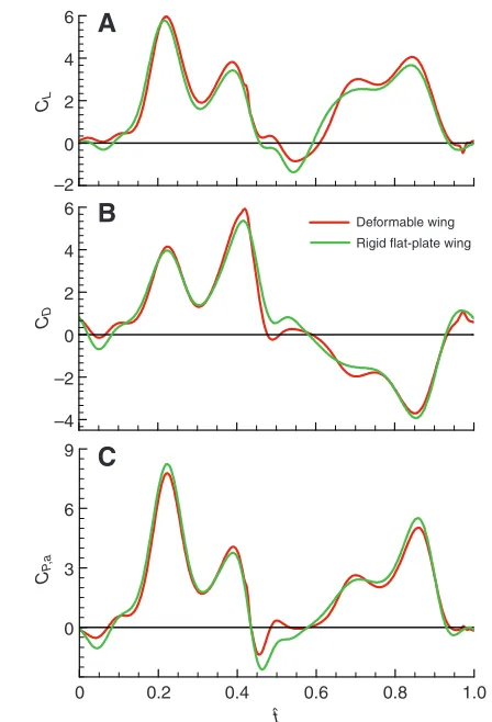 Fig. 5. Time courses of the (A) lift (CLcoefficients of the wing with spanwise twist only and the wing with camberonly in one cycle, compared to those of the rigid flat-plate wing, for hoverflyH3