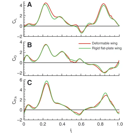 Fig. 7. Time courses of the (A) lift (CLcoefficients of the wing with spanwise twist only and the wing with camberonly in one cycle, compared with those of the rigid flat-plate wing, forhoverfly H4