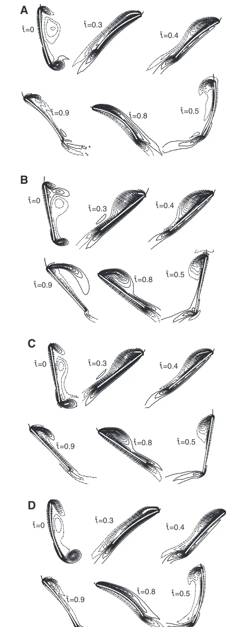 Fig. 17. Time courses of (A) lift (CL) and (B) drag (CD) coefficients ofcambered and flat-plate wings in revolving motion (started from rest) atsmall and large angles of attack ()
