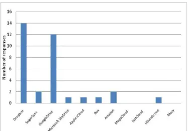 Figure 2. Cloud computing services providers used by the group of experts 