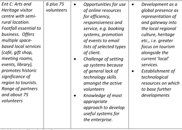 Table 1 Profile of pilot firms  Reflections on the interviews 